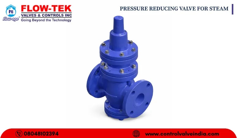 PRESSURE REDUCING VALVE FOR STEAM image 1