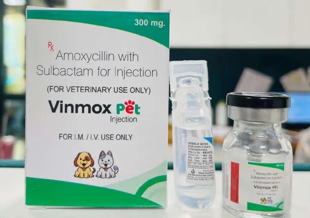 Vinmox pet Injection image 1