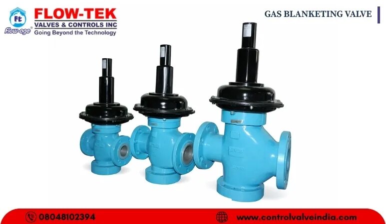 GAS BLANKETING VALVE image 1