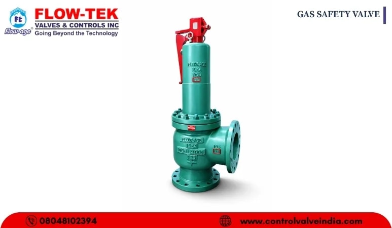 GAS SAFETY VALVE image 1
