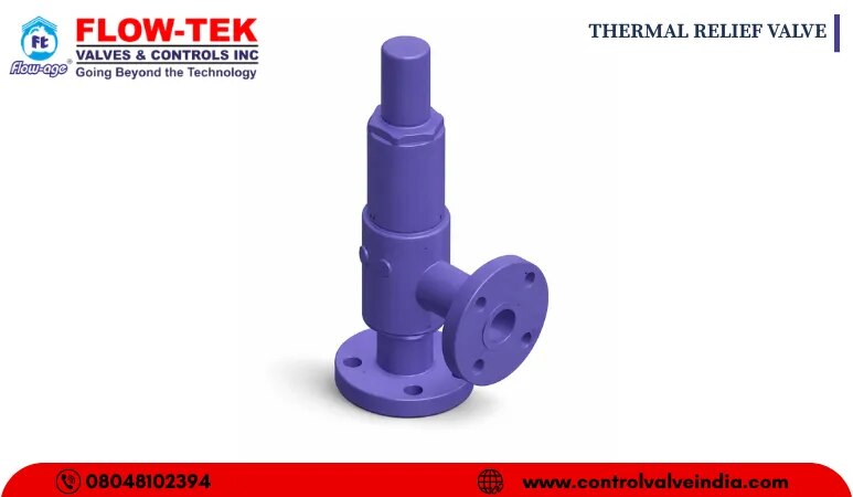 THERMAL RELIEF VALVE image 1