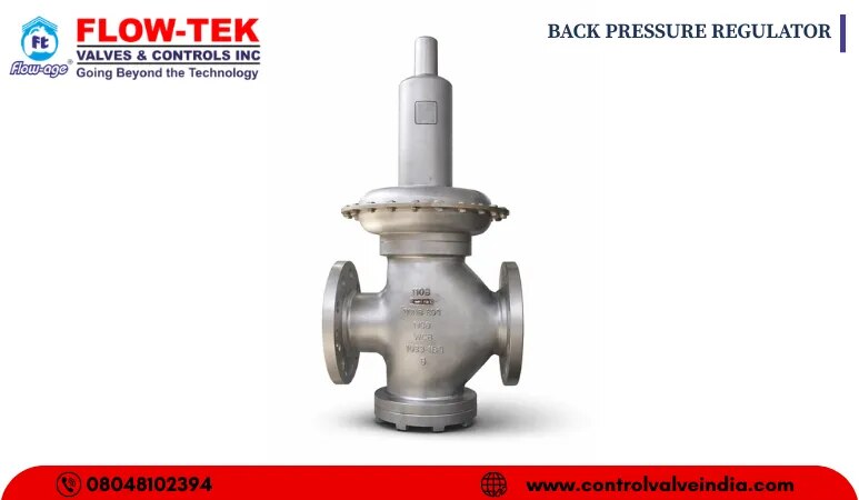 BACK PRESSURE REGULATOR image 1