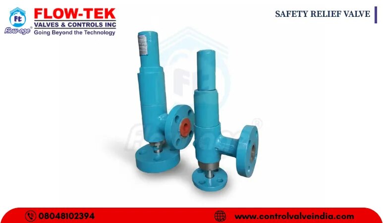 SAFETY RELIEF VALVE image 1
