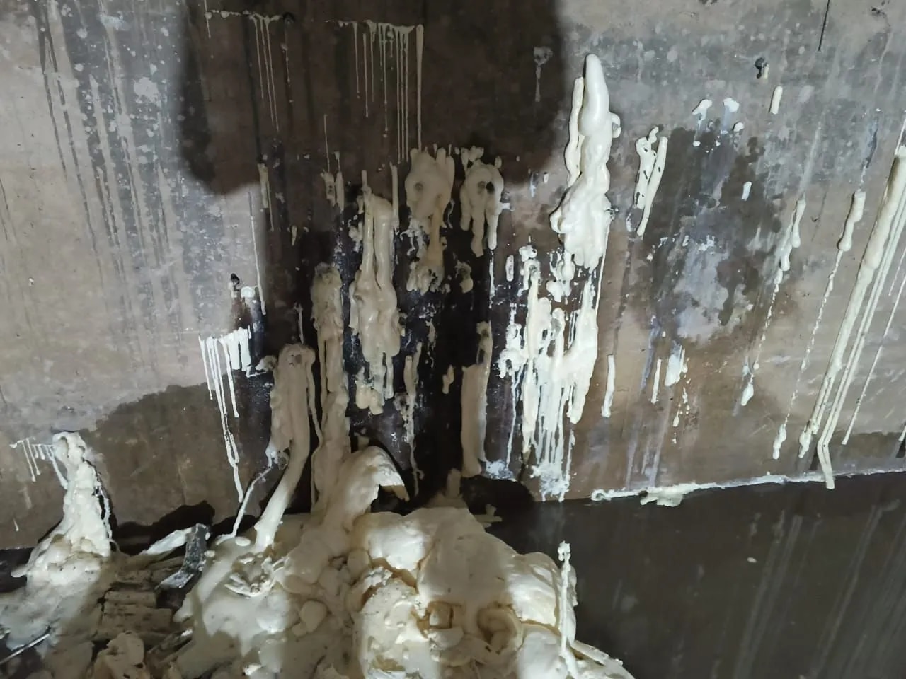 Dr fixit Waterproofing Contractor in Mumbai image 1