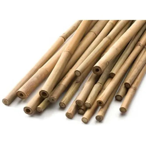 Bamboo Stick image 1