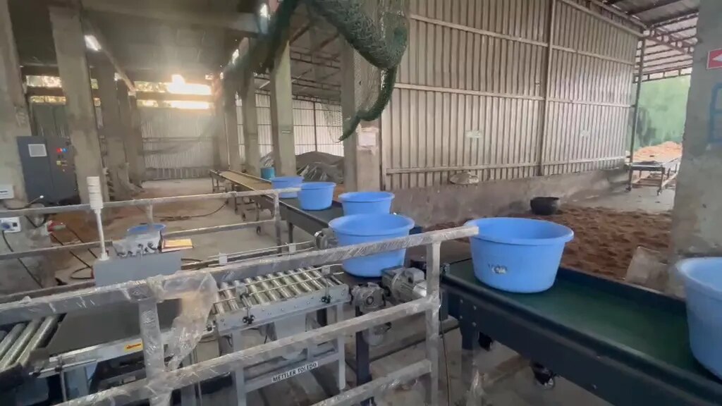 FLAT BELT WITH CHECKWEIGHER image 1