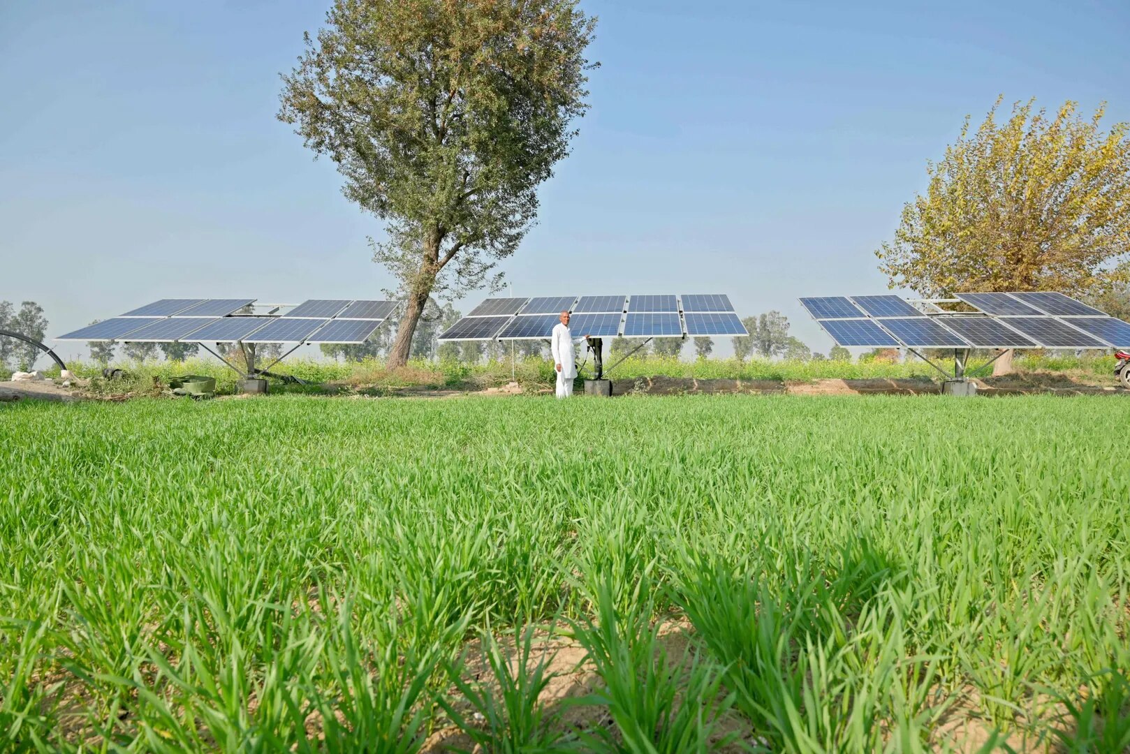 Agriculture Solar Pump image 1