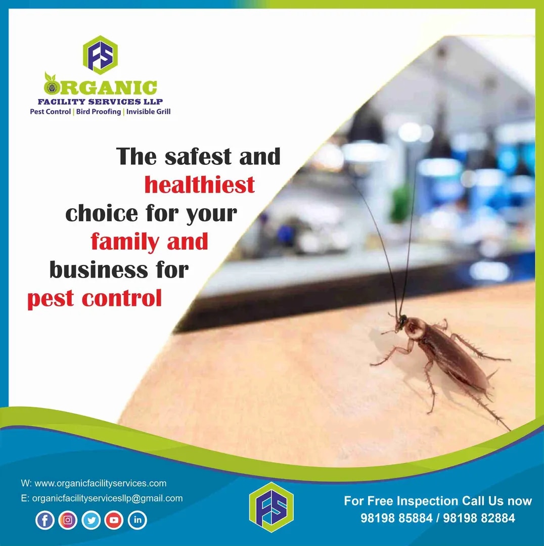 Cockroach Pest Control Service image 1