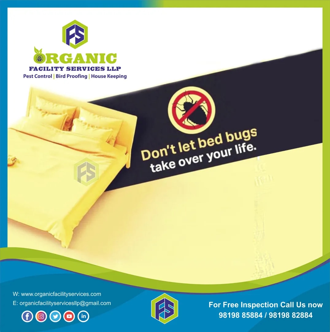Bed Bugs Pest Control image 1