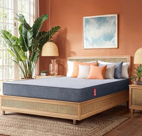 Double Mattress image 1
