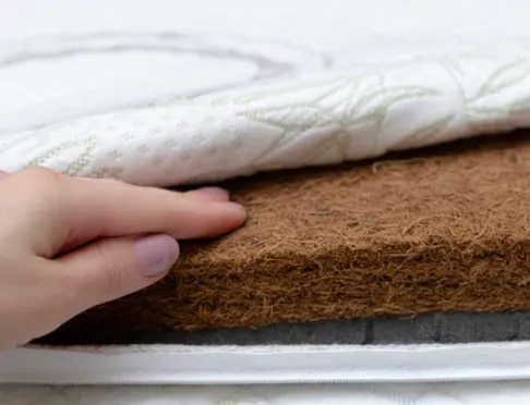 Coir Mattress image 1