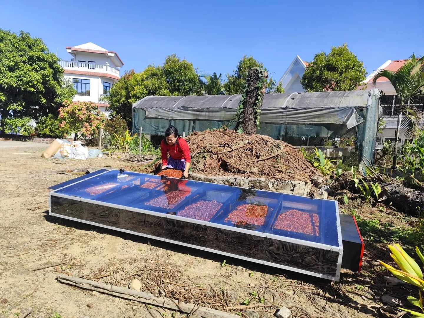 Solar Drying For Vegetables image 1