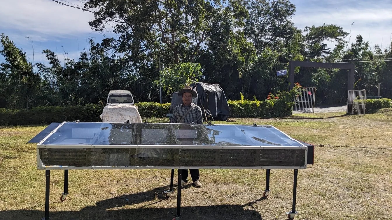 Solar Drying Machine For Papaya image 1