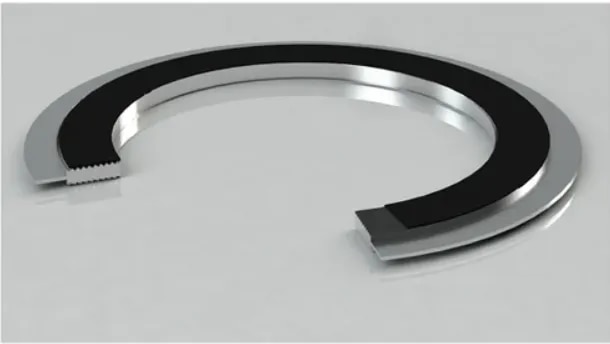Metal Kammprofile Gasket image 1