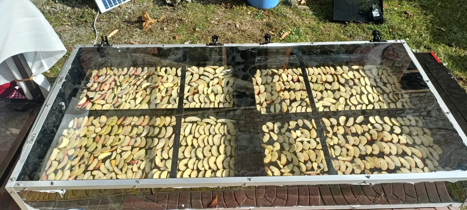 Solar Drying Machine For Apple image 1