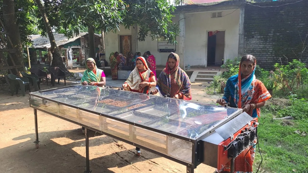 Solar Drying Machine For Bottle Gourd image 1