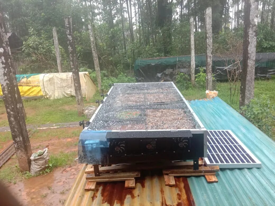 Solar Drying Machine For Mango image 1