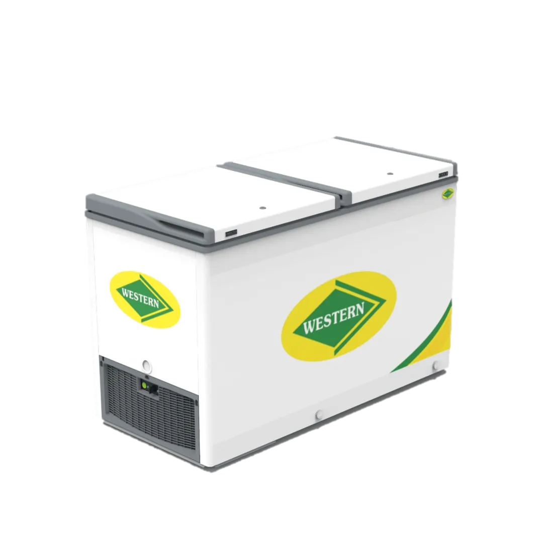Western Combi Freezer B425H220 (Half Cooler Half Freezer) image 1