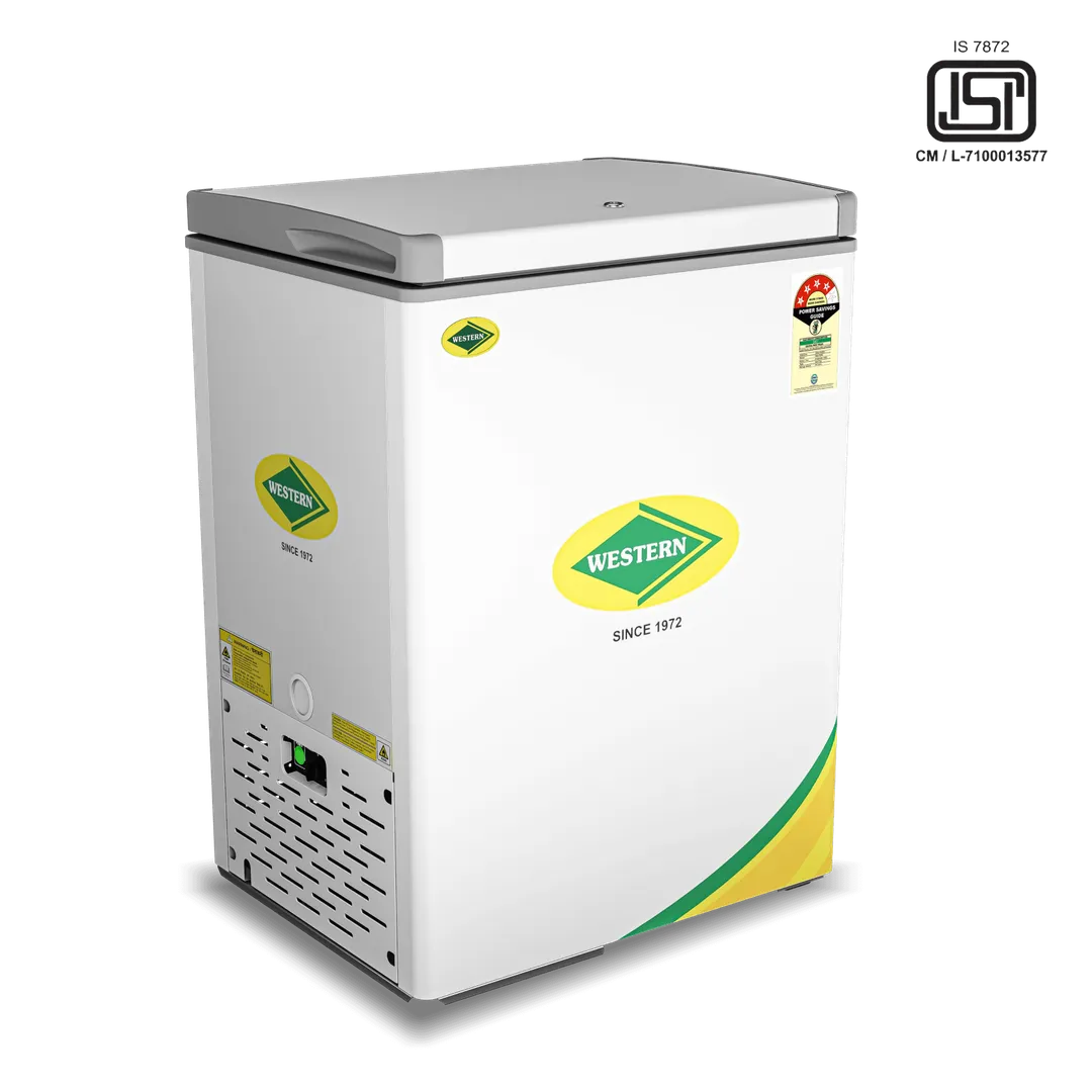 Western Deep Freezer Hard Top D150H163 image 1