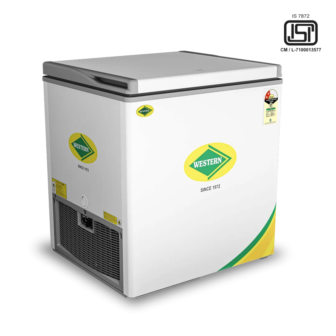 Western Deep Freezer Hard Top D225H121 image 1