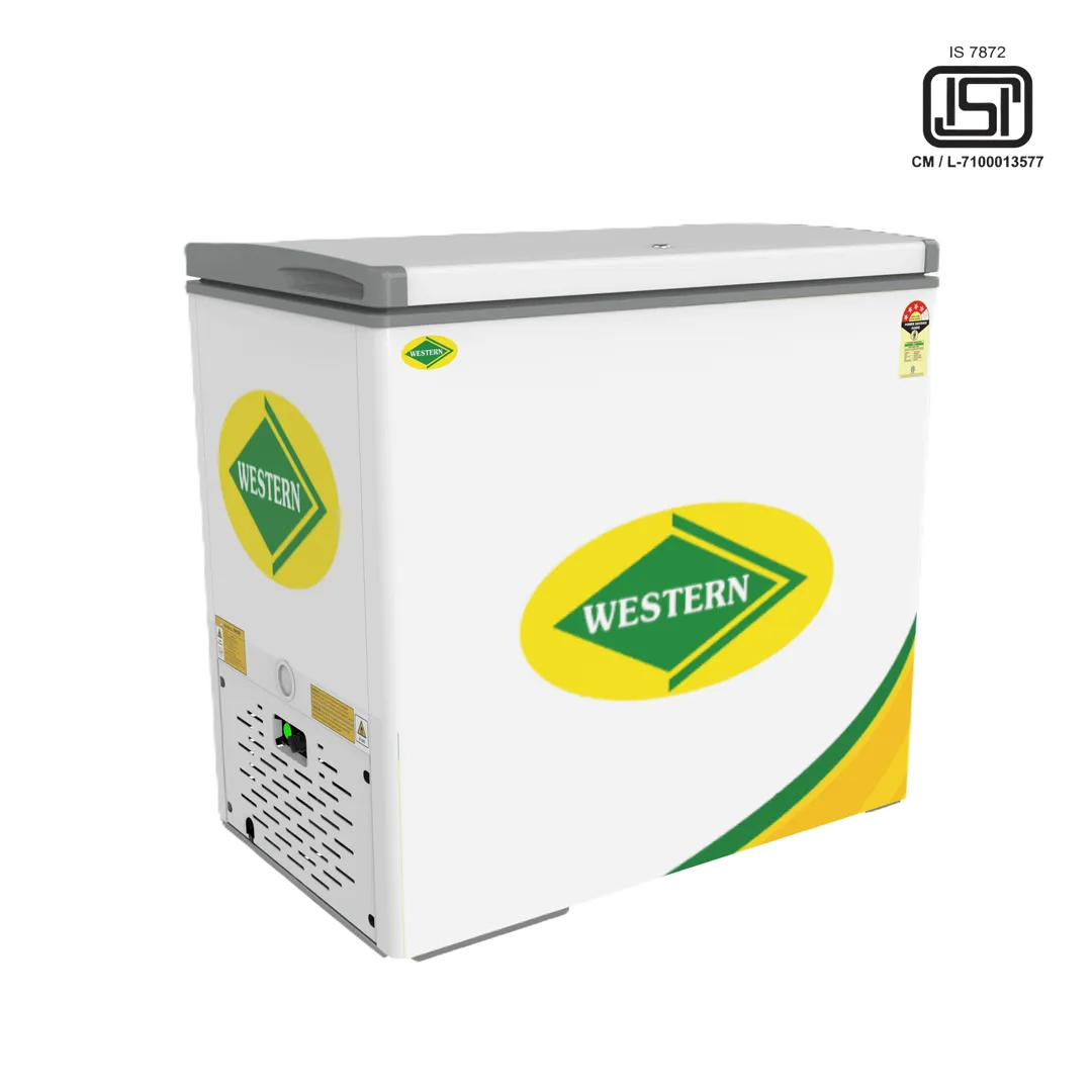 Western Deep Freezer Hard Top D300H123 image 1