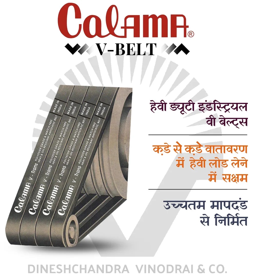 Calama V Belt image 1