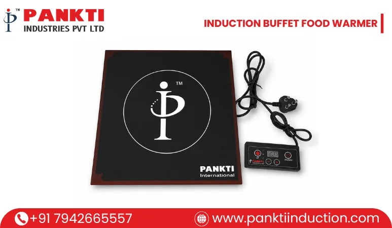 INDUCTION BUFFET FOOD WARMER image 1