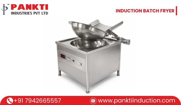 INDUCTION BATCH FRYER image 1