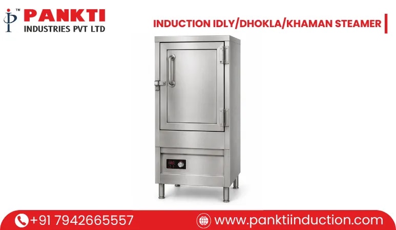 INDUCTION IDLY/DHOKLA/KHAMAN STEAMER image 1