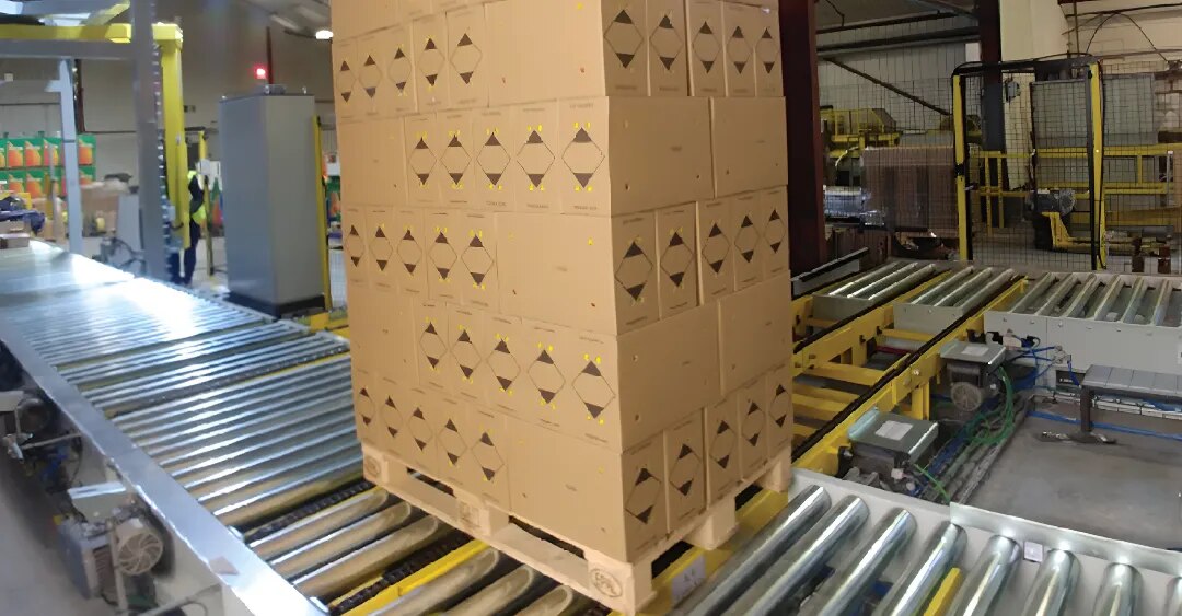 Pallet Transfer Conveyors image 1