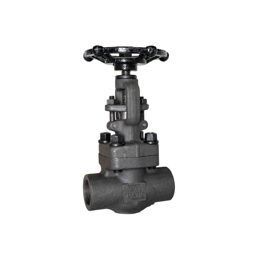 Forged Gate Valve image 1