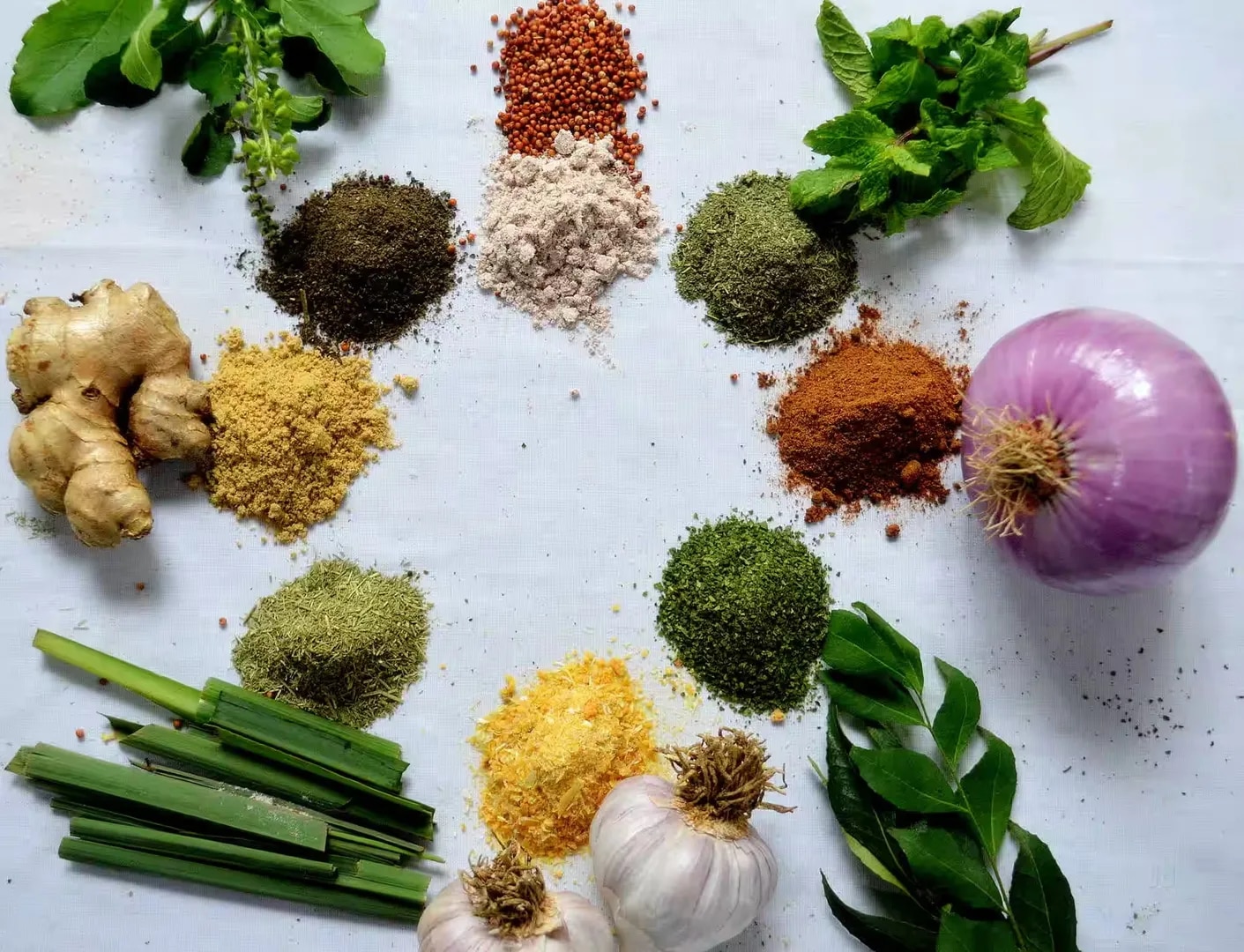 Buy the Best Vegetable Powders Online and in Bulk from SS Overseas India – International Export image 1