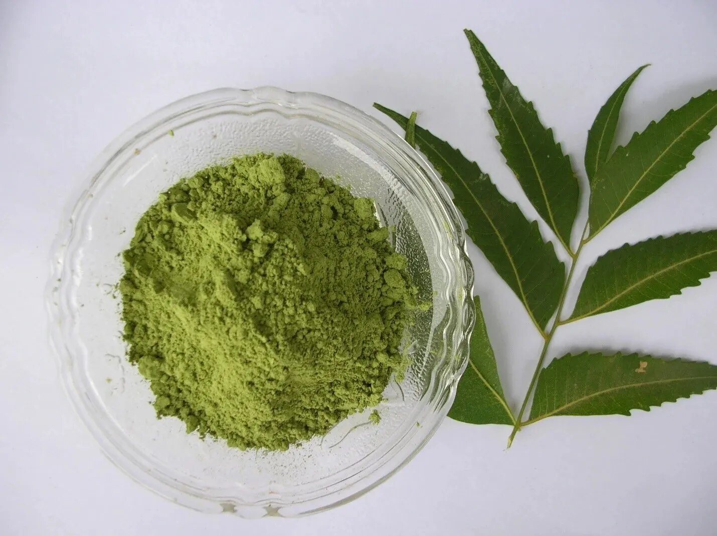 Buy & Import Premium Dried Neem Leaves Powder from SS Overseas – Serving Global Markets with Quality image 1