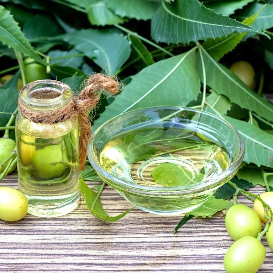 Buy High-Quality Neem Oil from SS Overseas India Trusted Supplier In USA, UK, Australia & Worldwide image 1