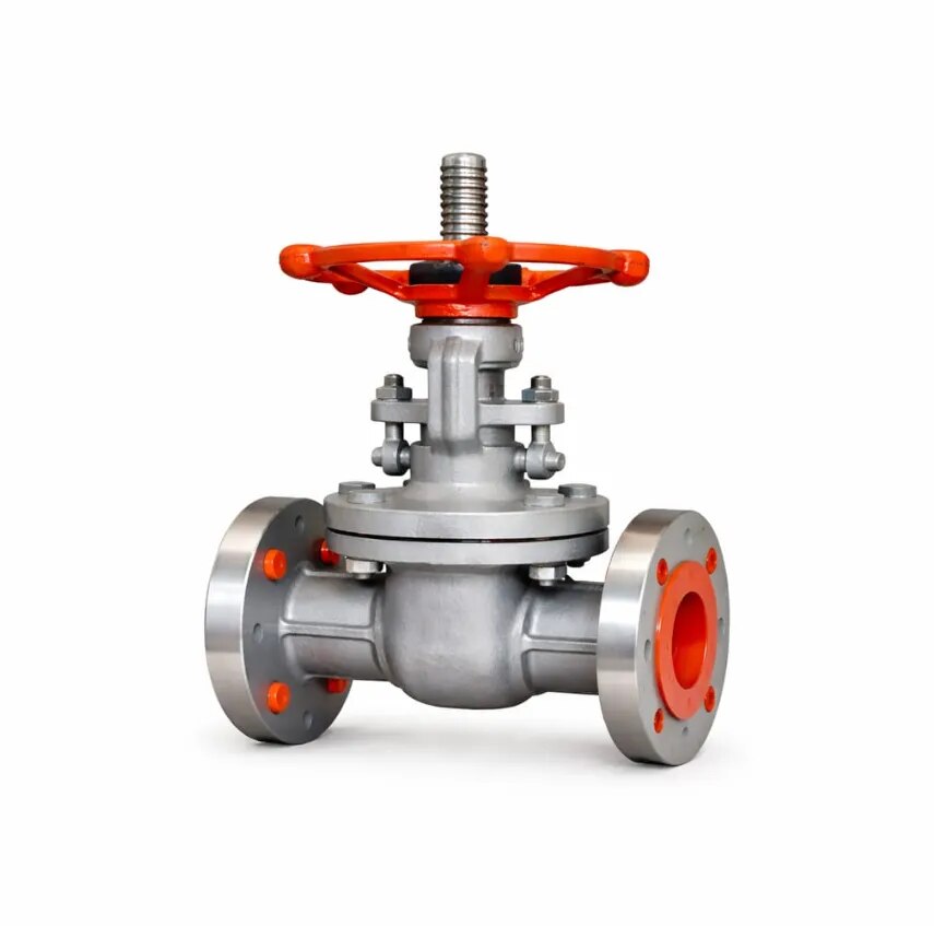 Gate Valve Flanged End image 1
