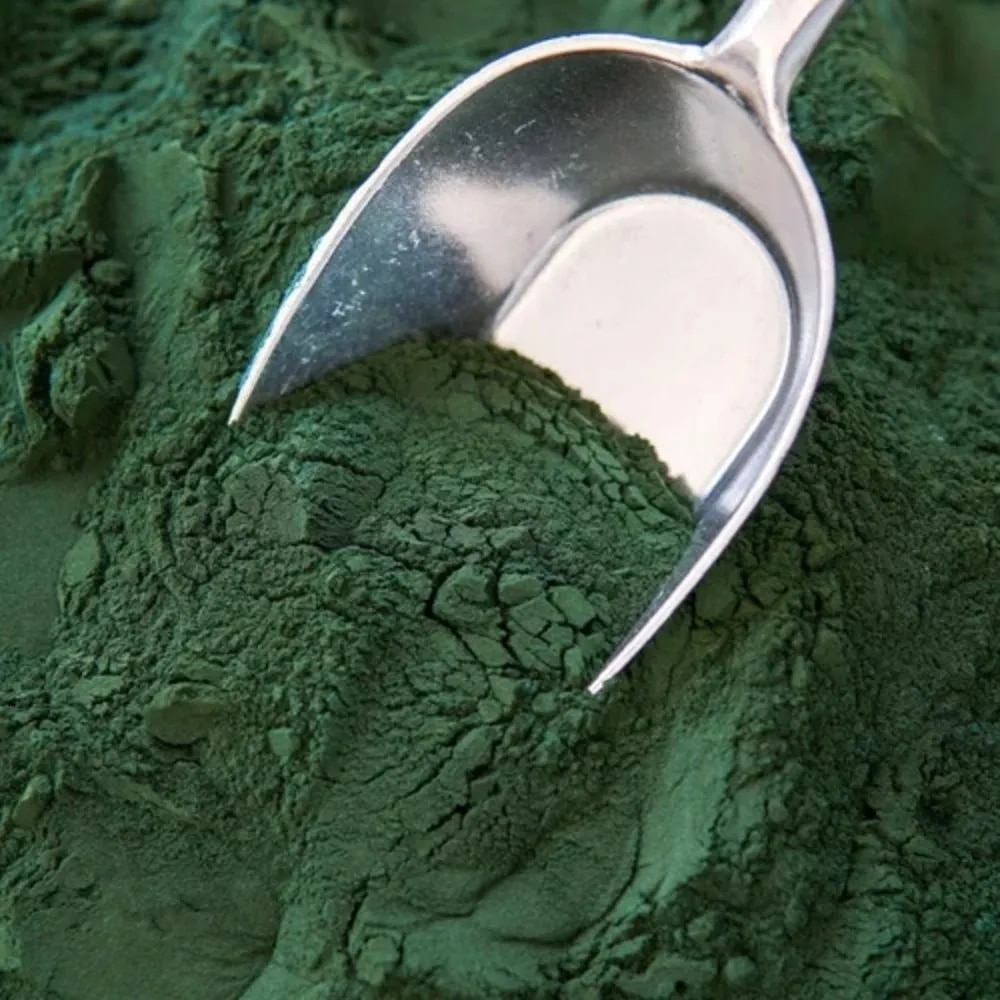 Leading Indian Exporter of Natural Spirulina Powder Serving USA, UK, Australia & Global Market image 1