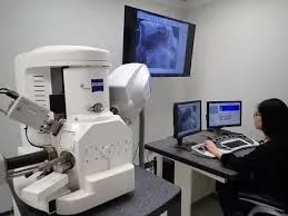 Scanning Electron Microscope Testing image 1