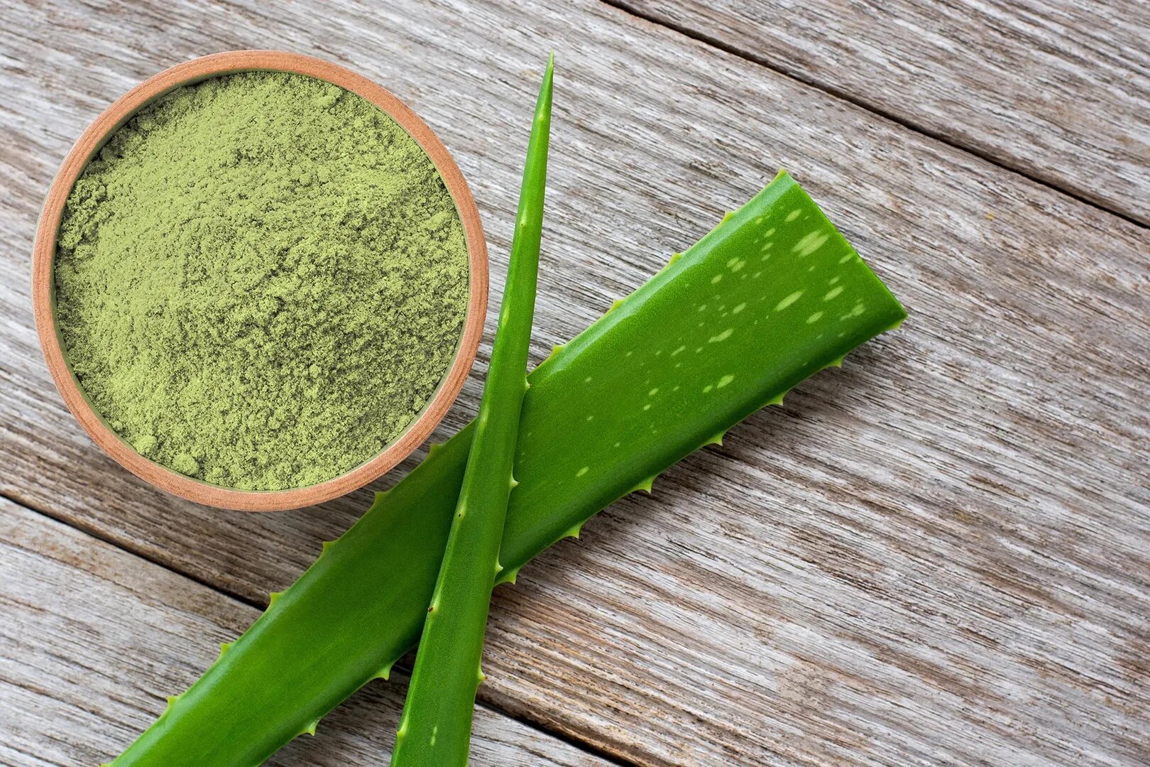 SS Overseas India – Trusted Exporter of Natural Aloe Vera Whole Leaves Powder Bulk Supply Worldwide image 1