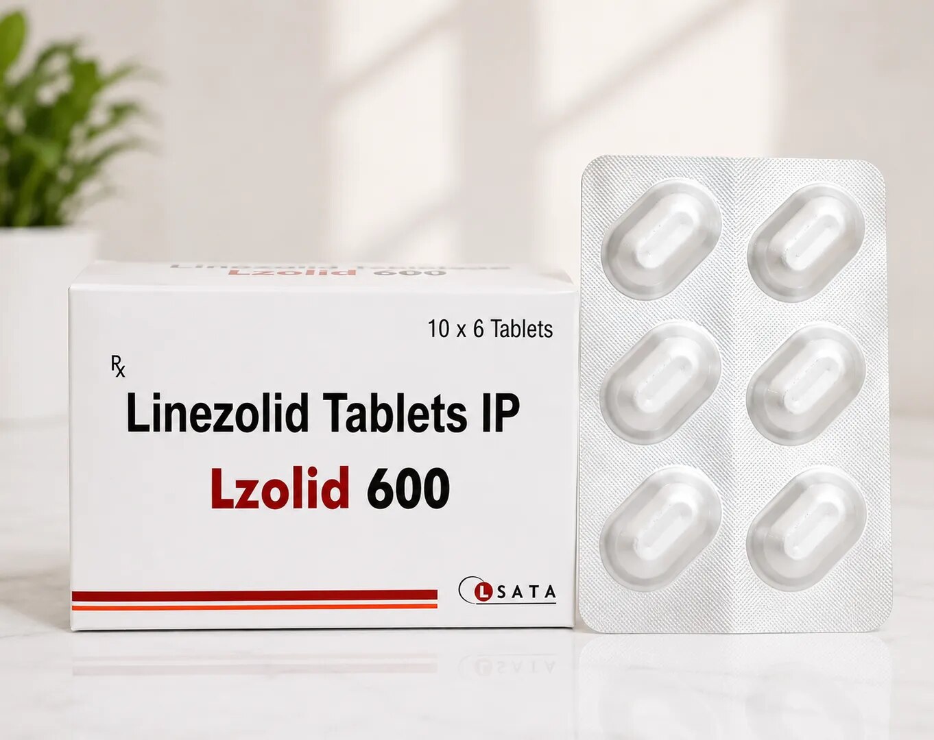 Lzolid 600 (10x6 T) image 1