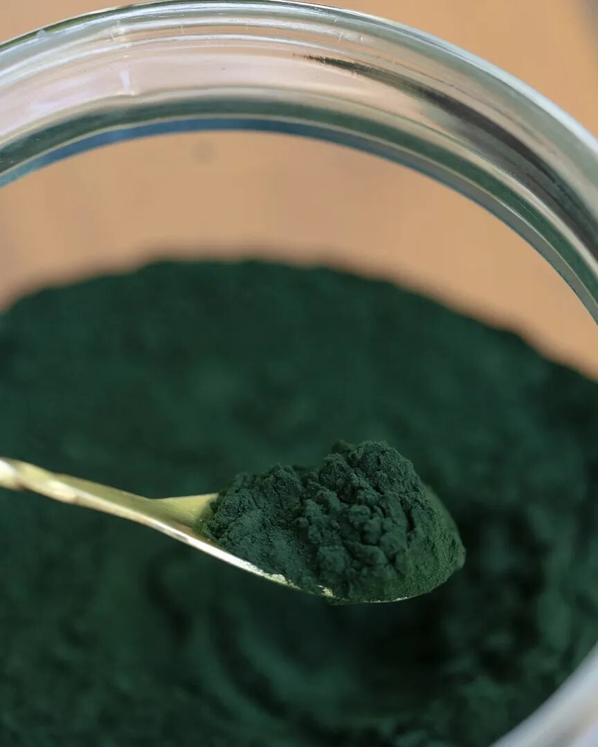 Spirulina Powder Exporter India | Bulk Superfood Powder Supplier | SS Overseas image 1