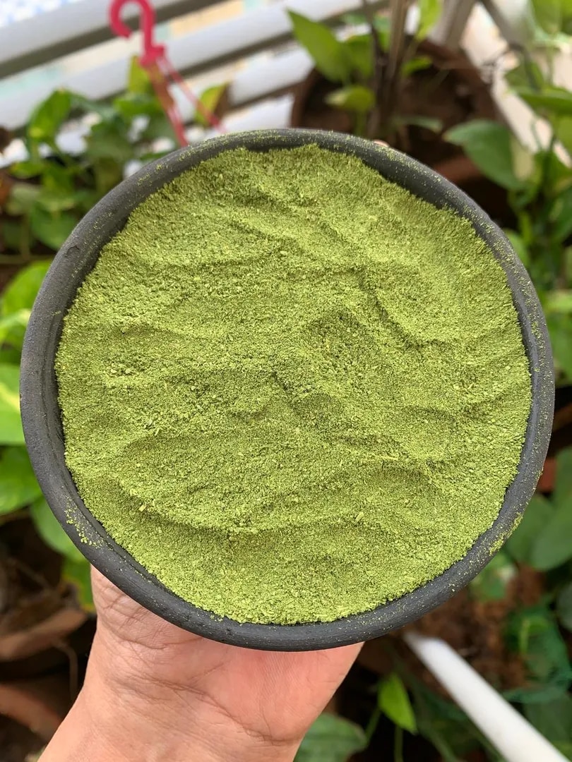 Organic Moringa Powder Supplier India | Premium Moringa Leaf Powder Exporter image 1