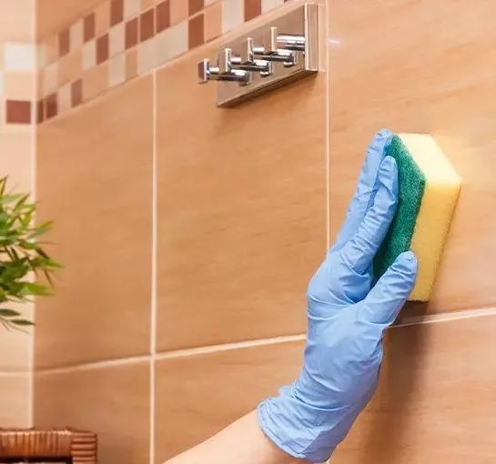 Tile & Stone Cleaners image 1