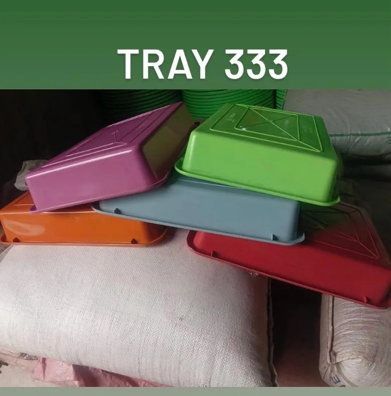 Tray 333 image 1