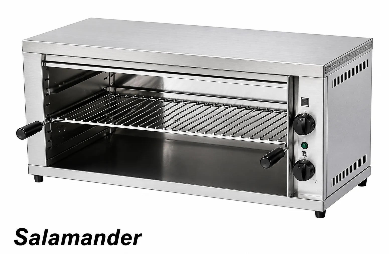 Salamander image 1