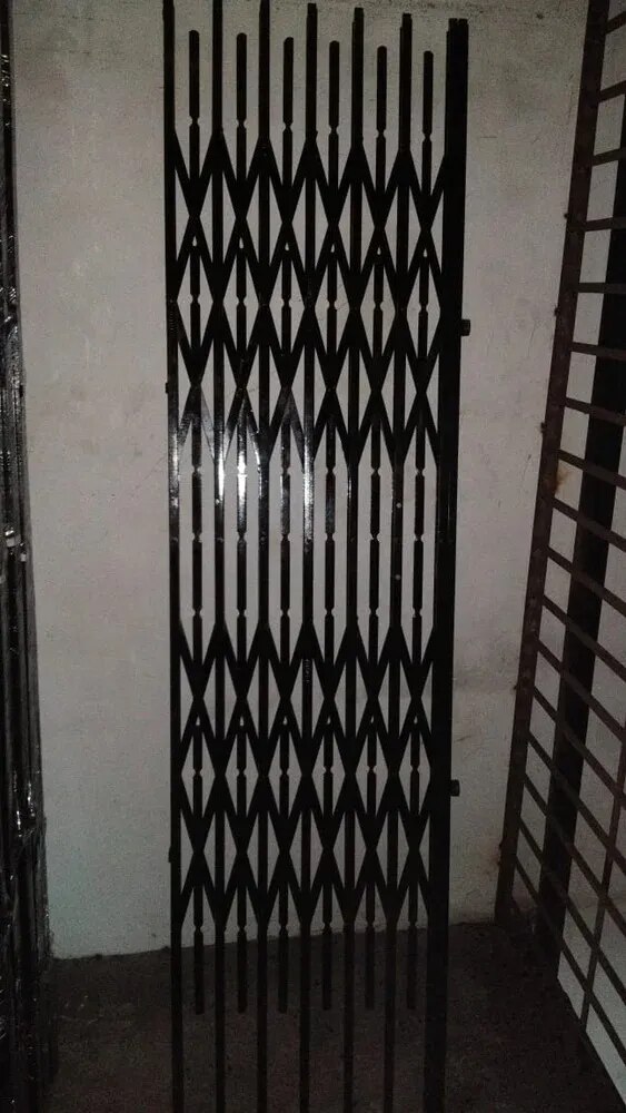 Ms Swing Elevator Door image 1