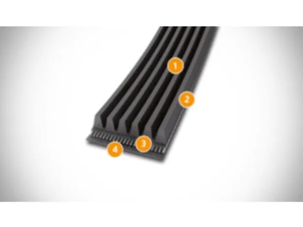 Multi Ribbed Poly-V Belts image 1