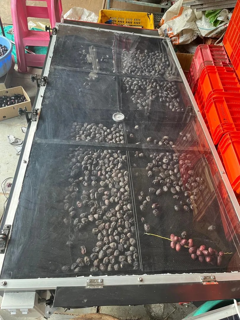 Solar Drying of Oilseeds image 1