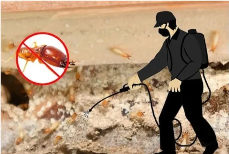 Termite Control in Bangalore image 1