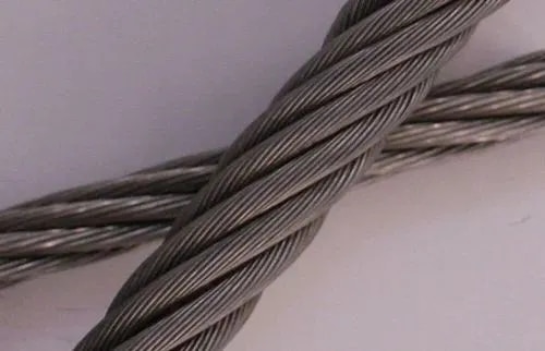 Crane Steel Wire Ropes Rs 40 / Meter image 1
