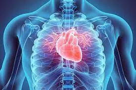 Cardiology image 1